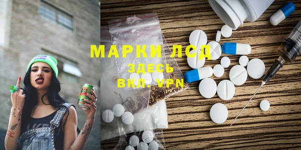 индика Горно-Алтайск