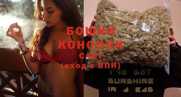 мдпв Вяземский