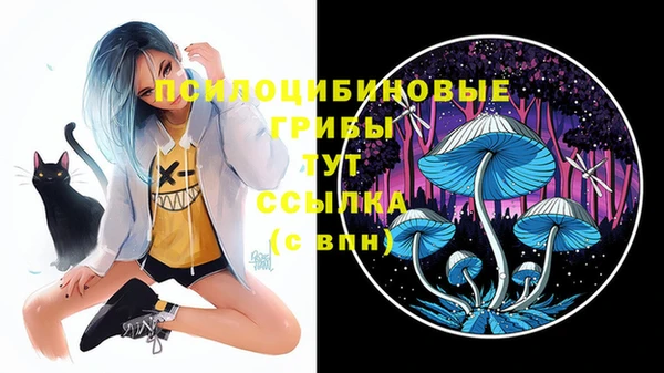 ALPHA PVP Володарск