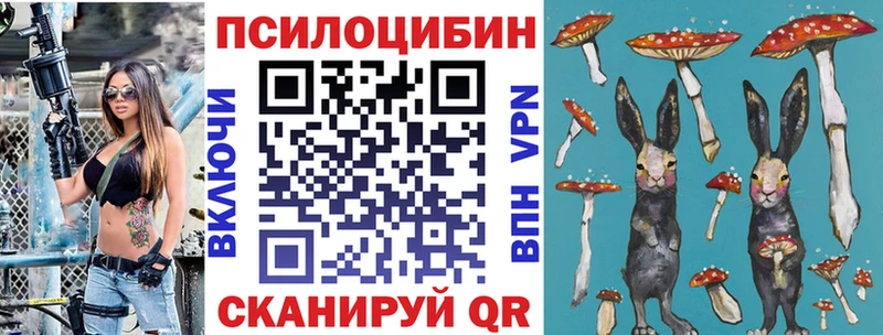 где продают   мега ONION  Псилоцибиновые грибы Psilocybine cubensis  Заинск 