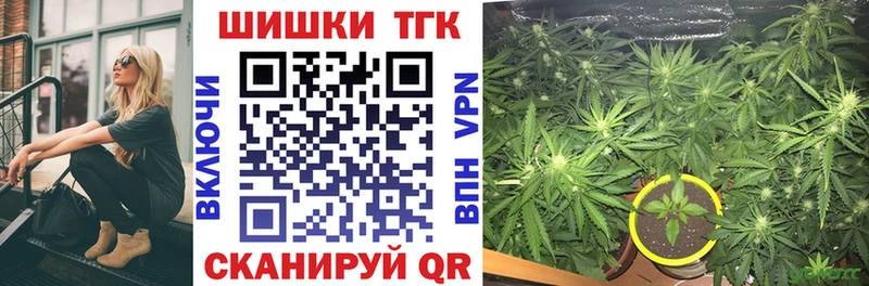 как найти наркотики  Заинск  Конопля тримм 